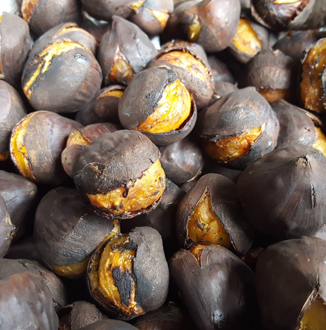 今シーズンの販売について